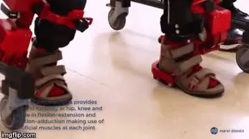 atls.mp4