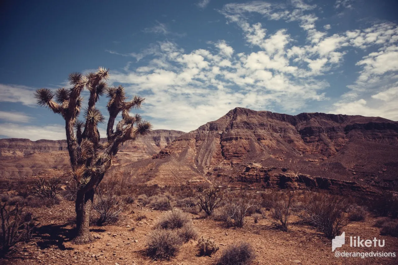 cl65sq8nt00zx0hpcbljwa3m5_landscape-8978.jpg