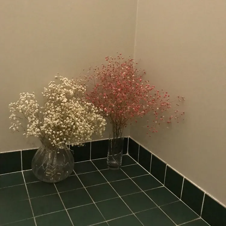 F5C06485-BC4E-4800-A039-7036D4D8FEAF.jpeg