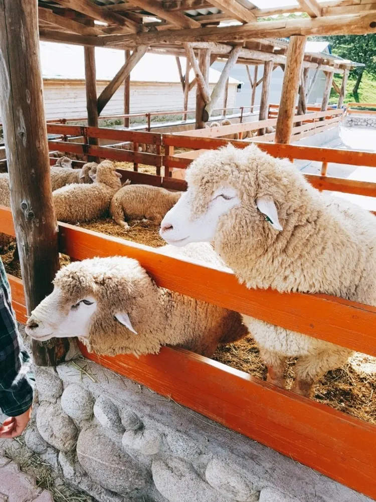 KakaoTalk_20180609_195117615.jpg