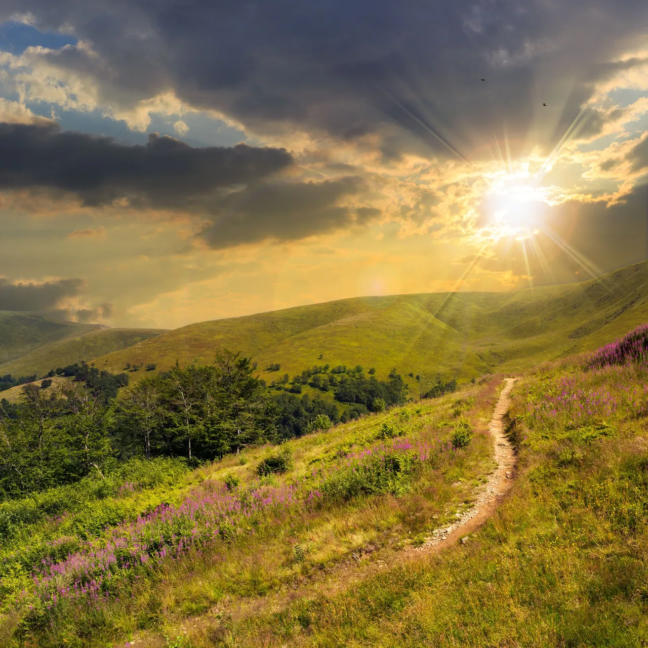 mountain-trail-at-dawn.jpg