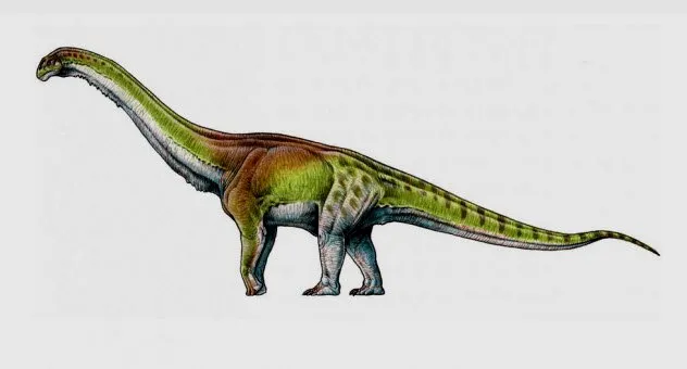 6a-Patagotitan-mayorum.jpg