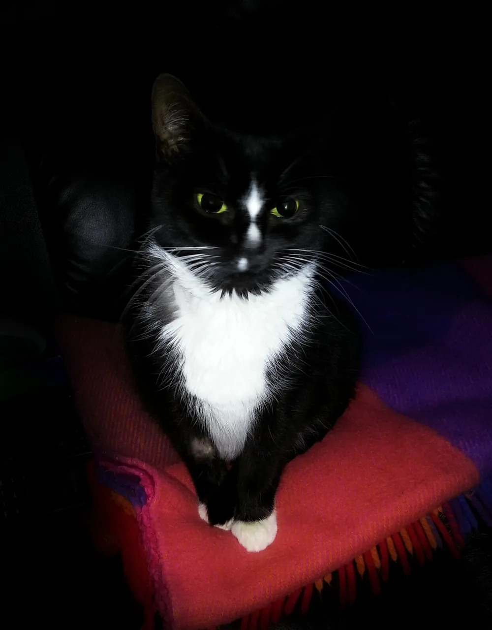 20121224_204316-picsay.jpg