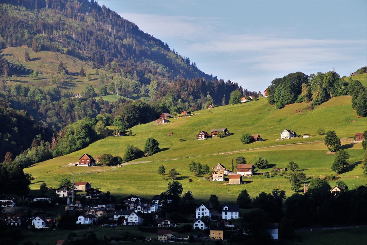 landscape-3405028_1920.jpg