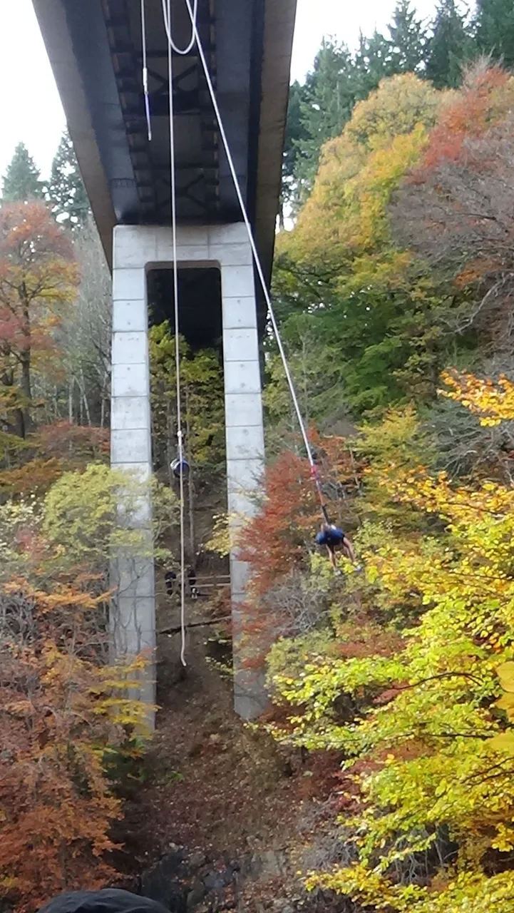 Bungee man 1 sml.jpg