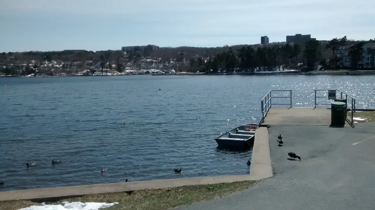 IMG_20180410_145725540.jpg