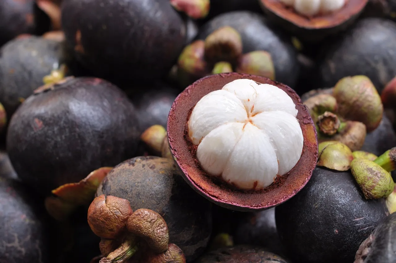 mangosteen-811154_1280.jpg