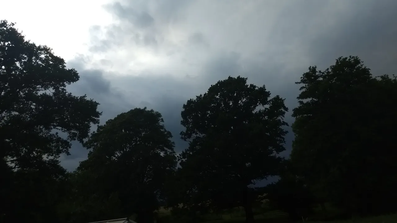 IMG_20170703_184009468.jpg