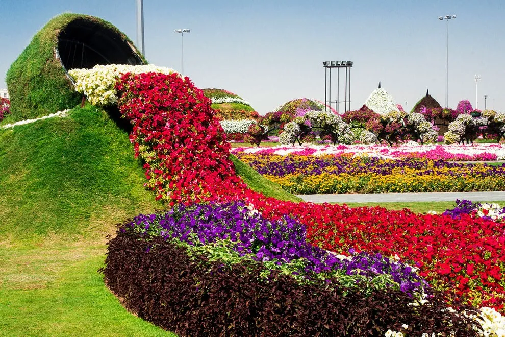 Dubai-Miracle-Garden-6.jpg