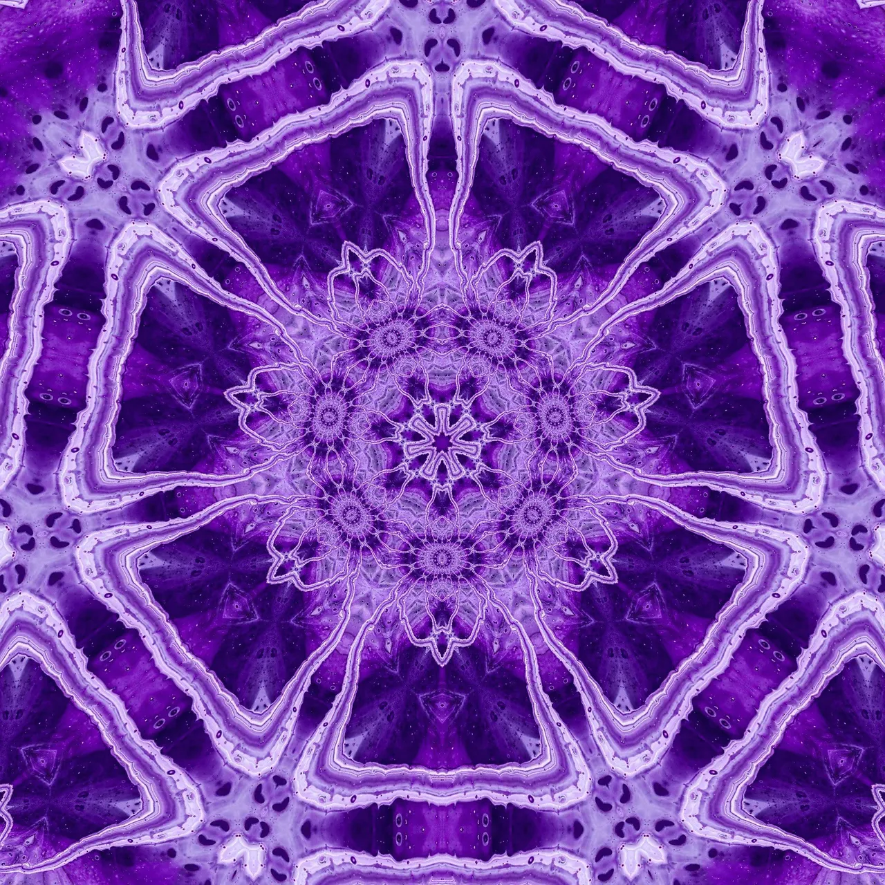 7petals mike pedro.jpg