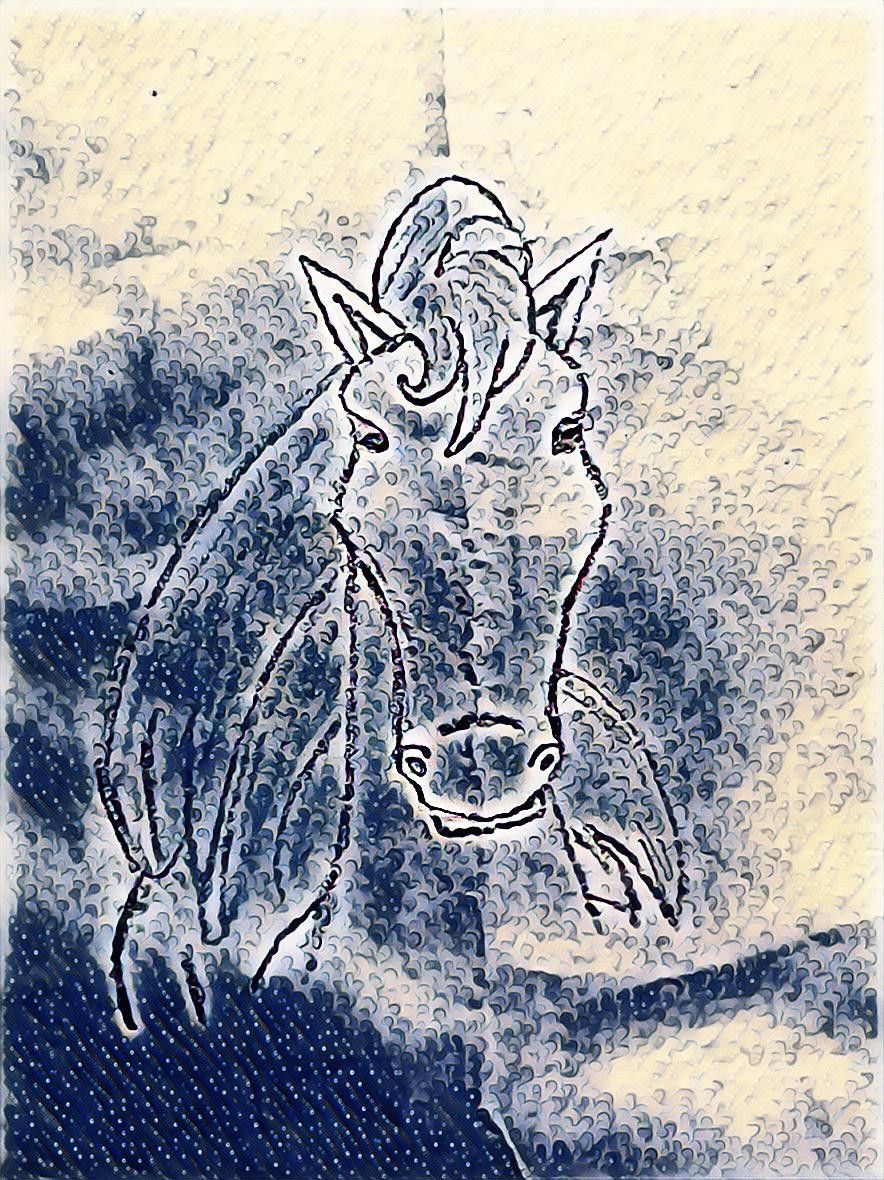 PicsArt_03-04-09.19.14.jpg
