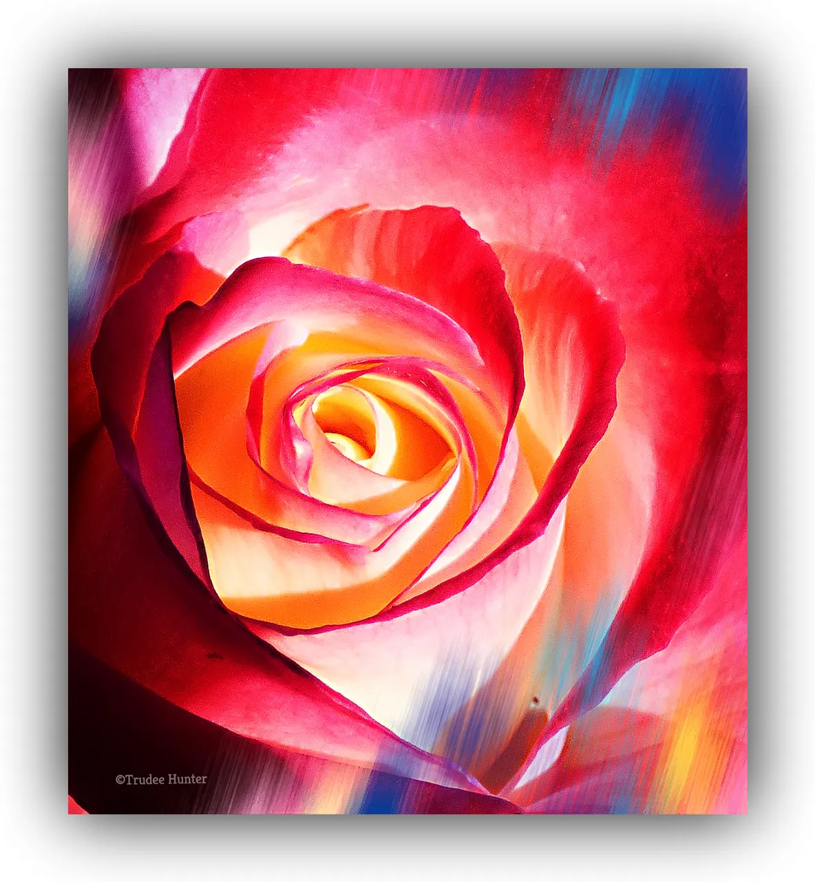 WM rs rosebudmacro.png