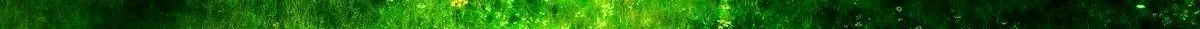 neongreen-invert-strip.jpg