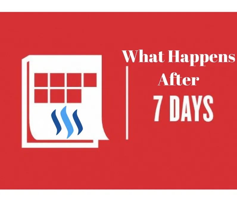 What Happens After.png