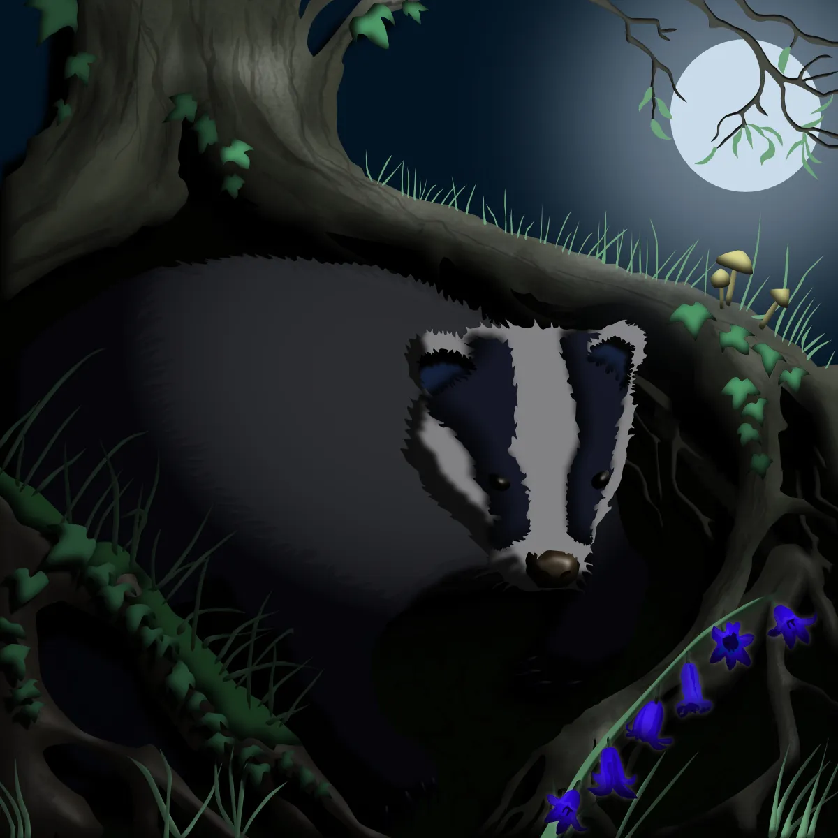 Aunties Badger jpg.jpg