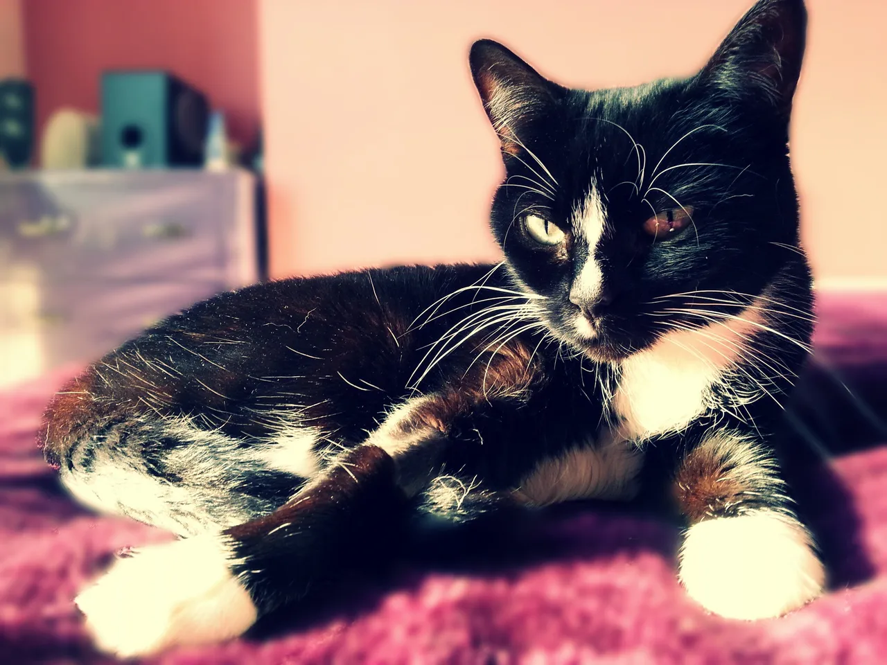 20130126_135500-picsay.jpg