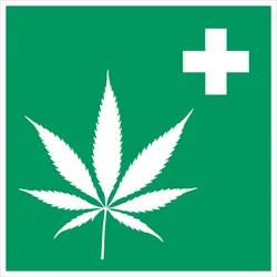 rsz_1rsz_cannabis_bild.png