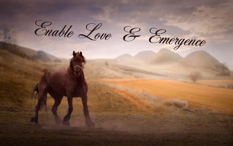 enableloveandemergence.jpg