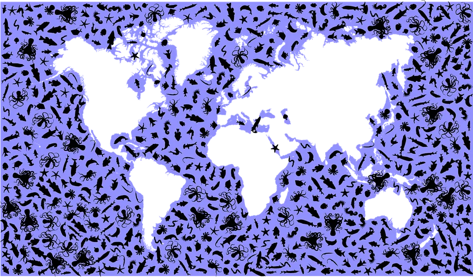 marine-2747259_960_720.png