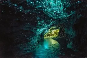 Glow-Worm-Cave-300x200.jpg