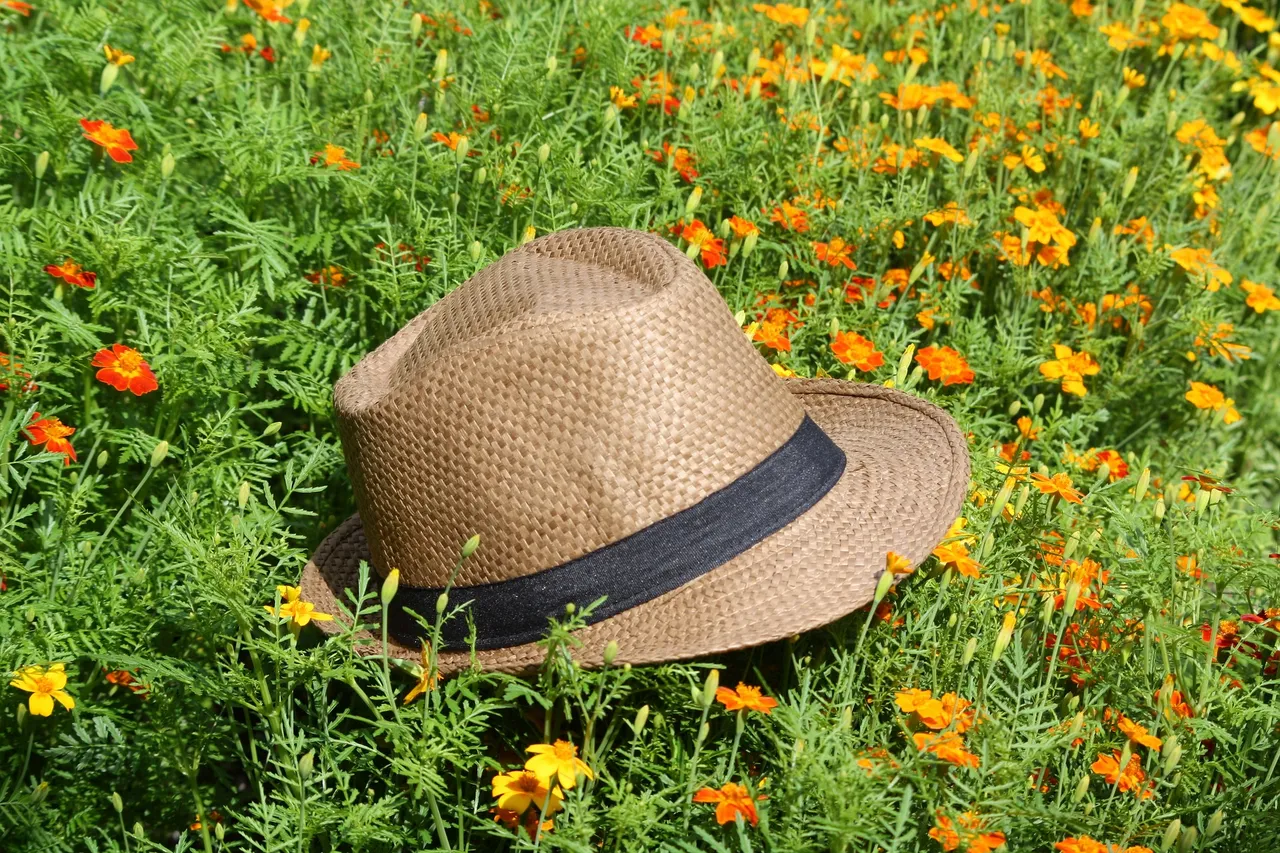 straw-hat-2448285_1920.jpg