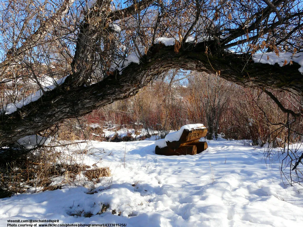 WinterScene-001-030818.jpg