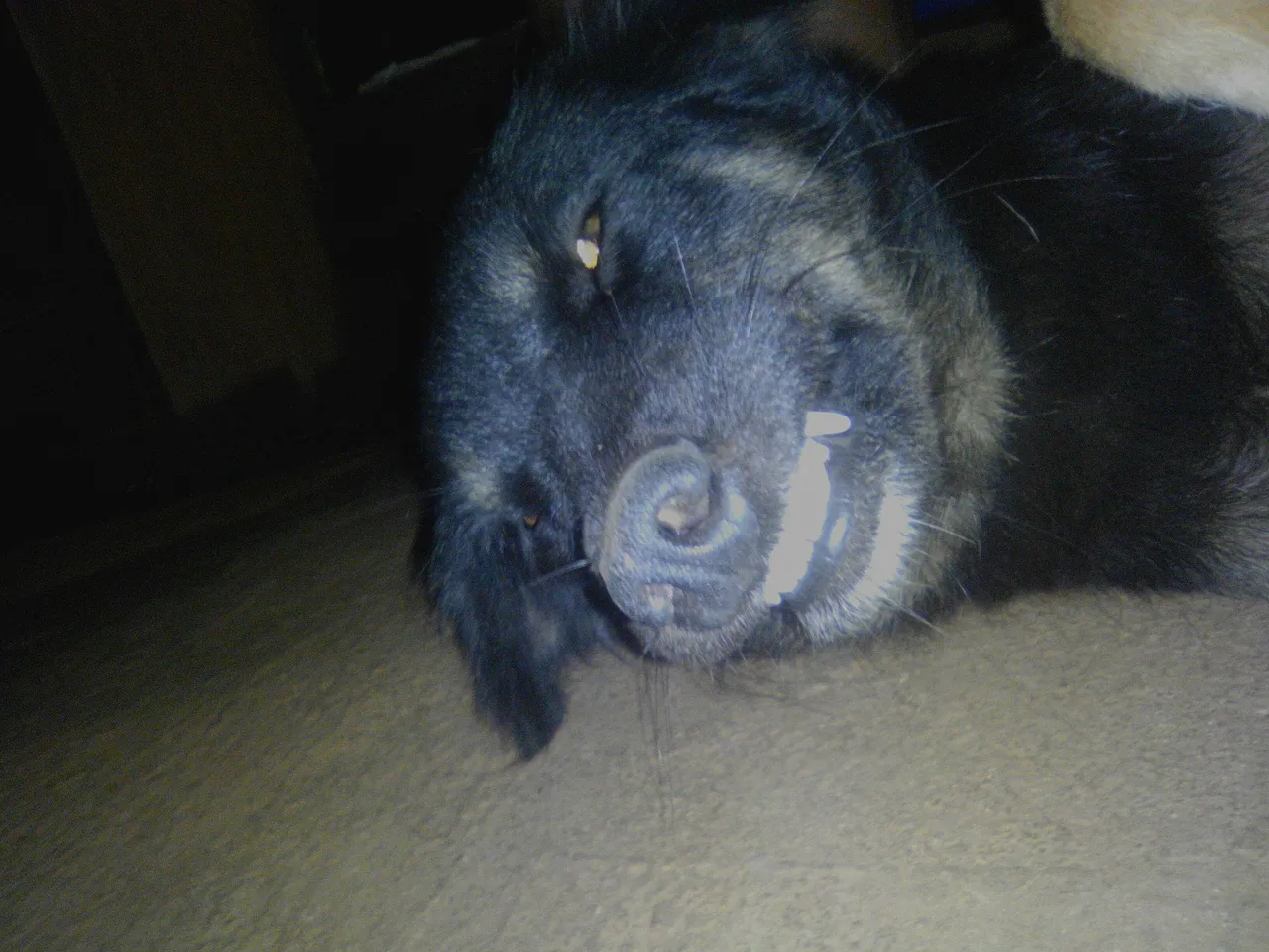 CYMERA_20171203_173402.jpg