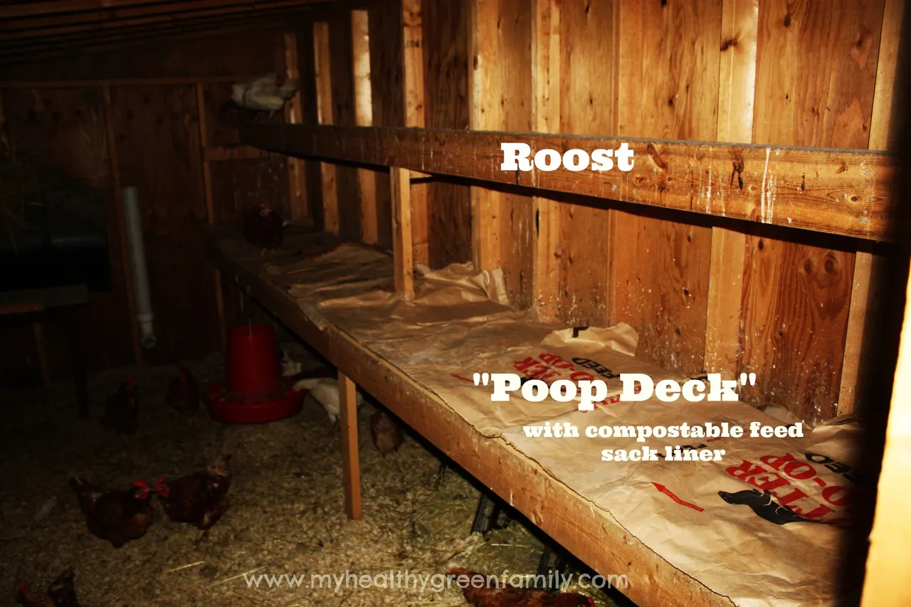 Chicken-Coop-Poop-Deck.jpg