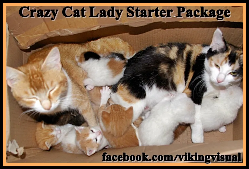 CrazyCatLadyStarterPkg.JPG