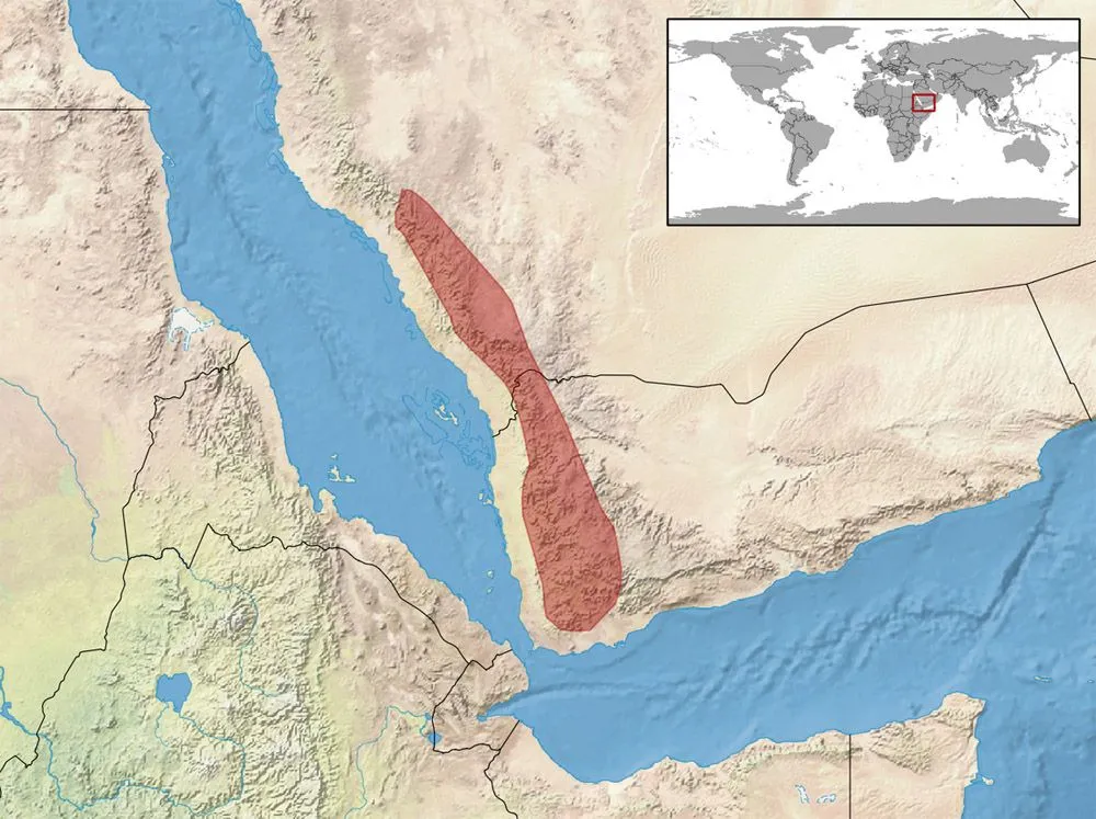 mapa-kameleon-jemenski.jpg