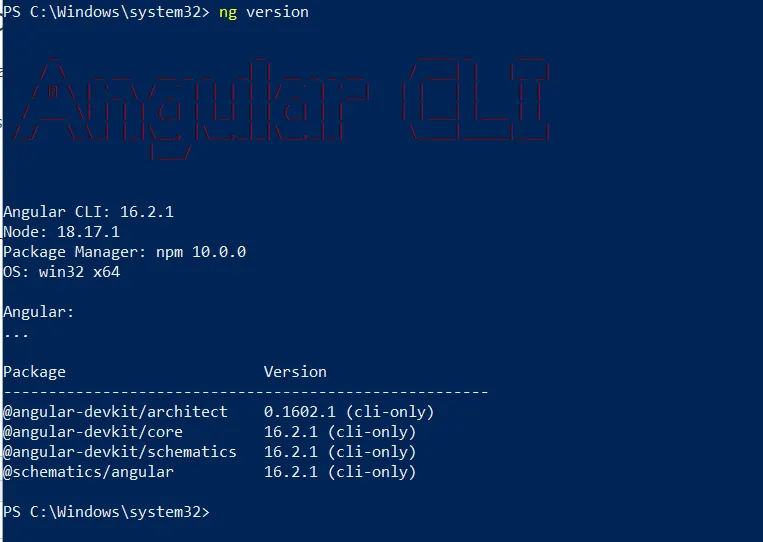 Check-Angular-Version-in-Windows-10-or-11