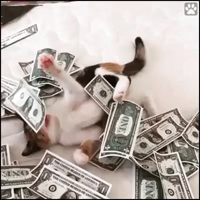 untitled.gif