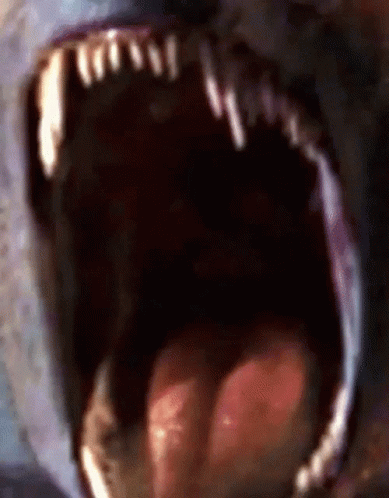 untitled.gif