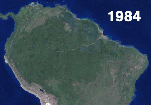 untitled.gif
