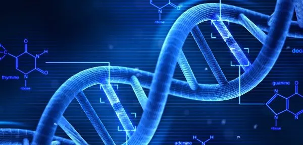 Genetic Algorithm