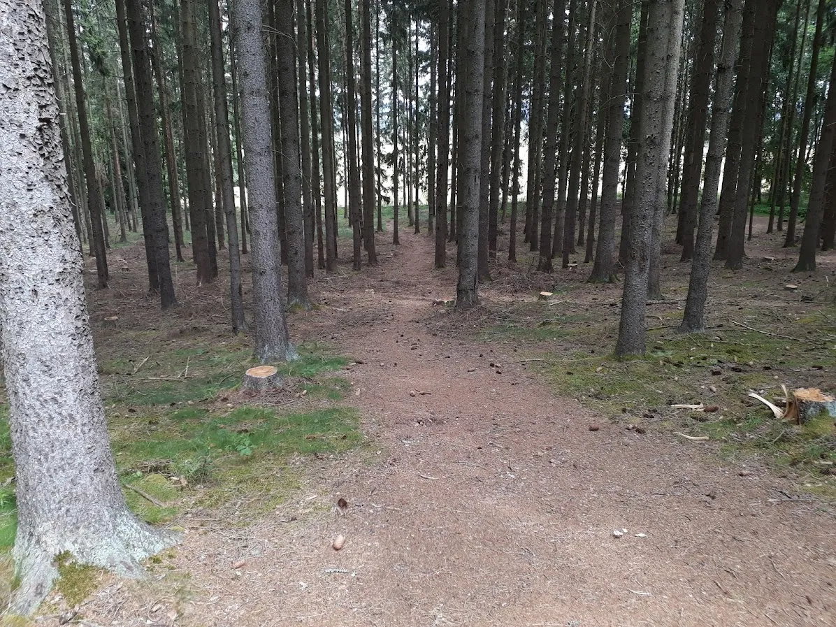 20250626_151112.jpg