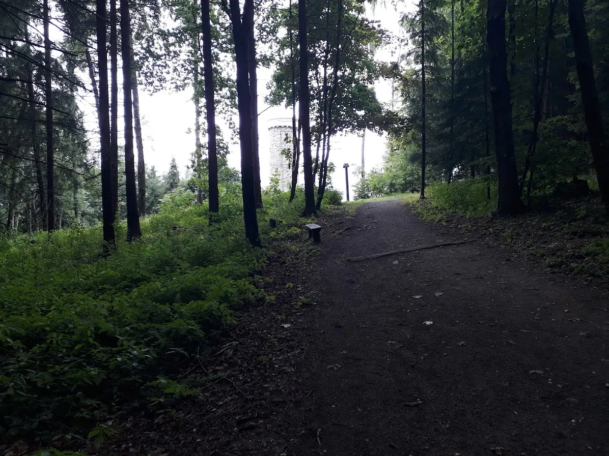 20250709_154141.jpg