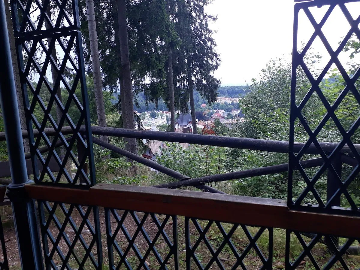 20250801_154454.jpg