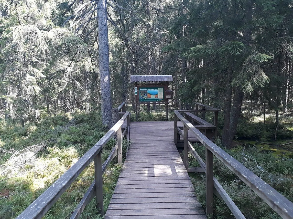 20250807_144941.jpg