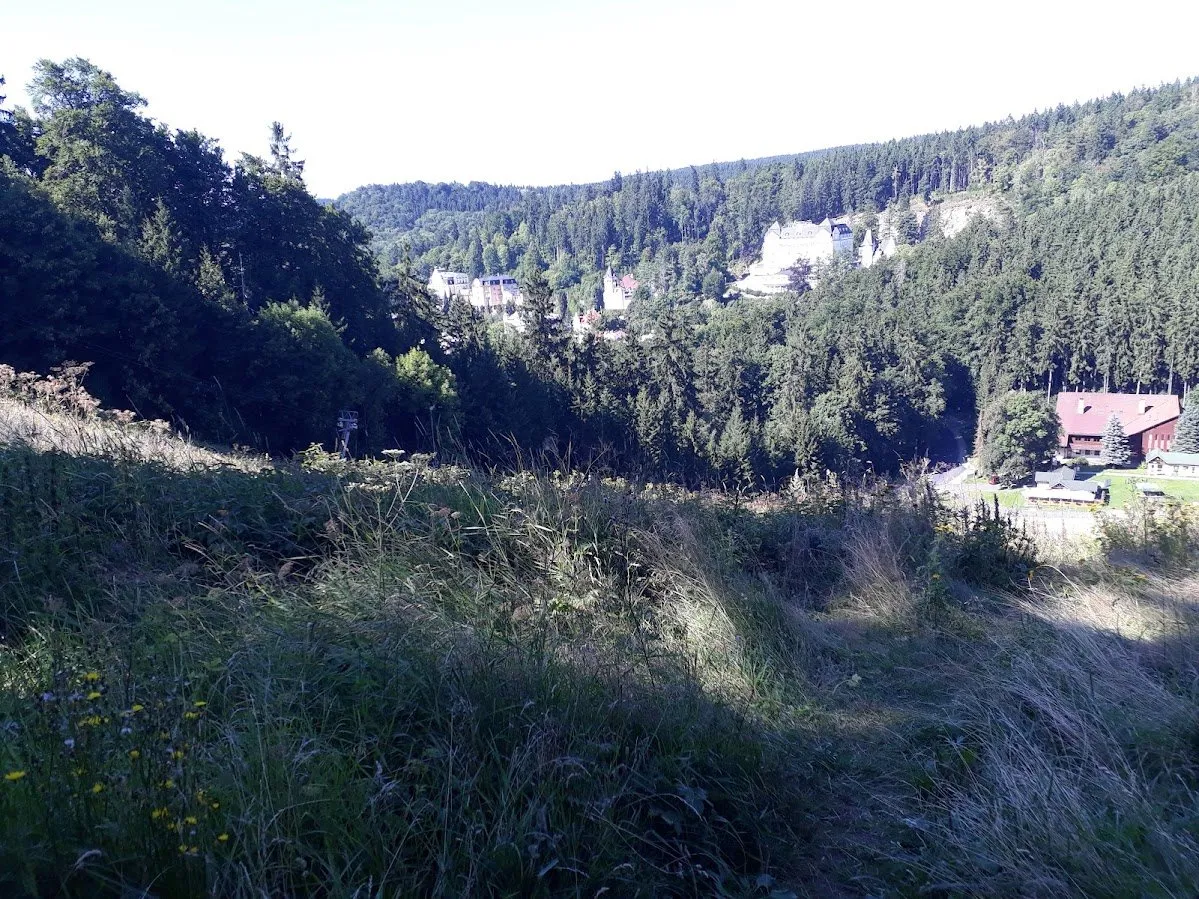 20250812_155528.jpg