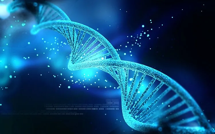 Stem Cell Innovations