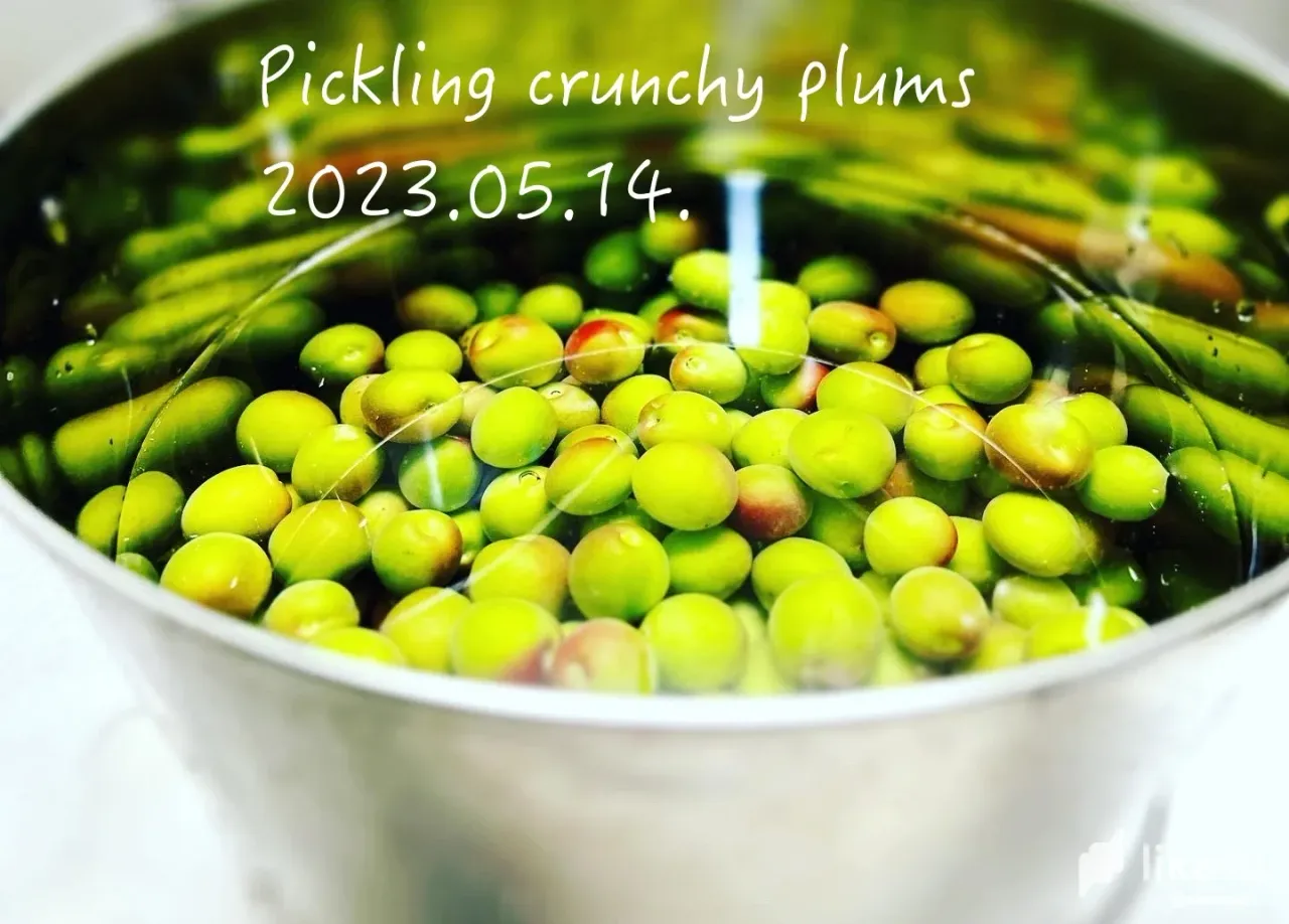 clhuclj1h00wo97sz5hsx3bt2_1_Pickling_crunchy_plums.webp