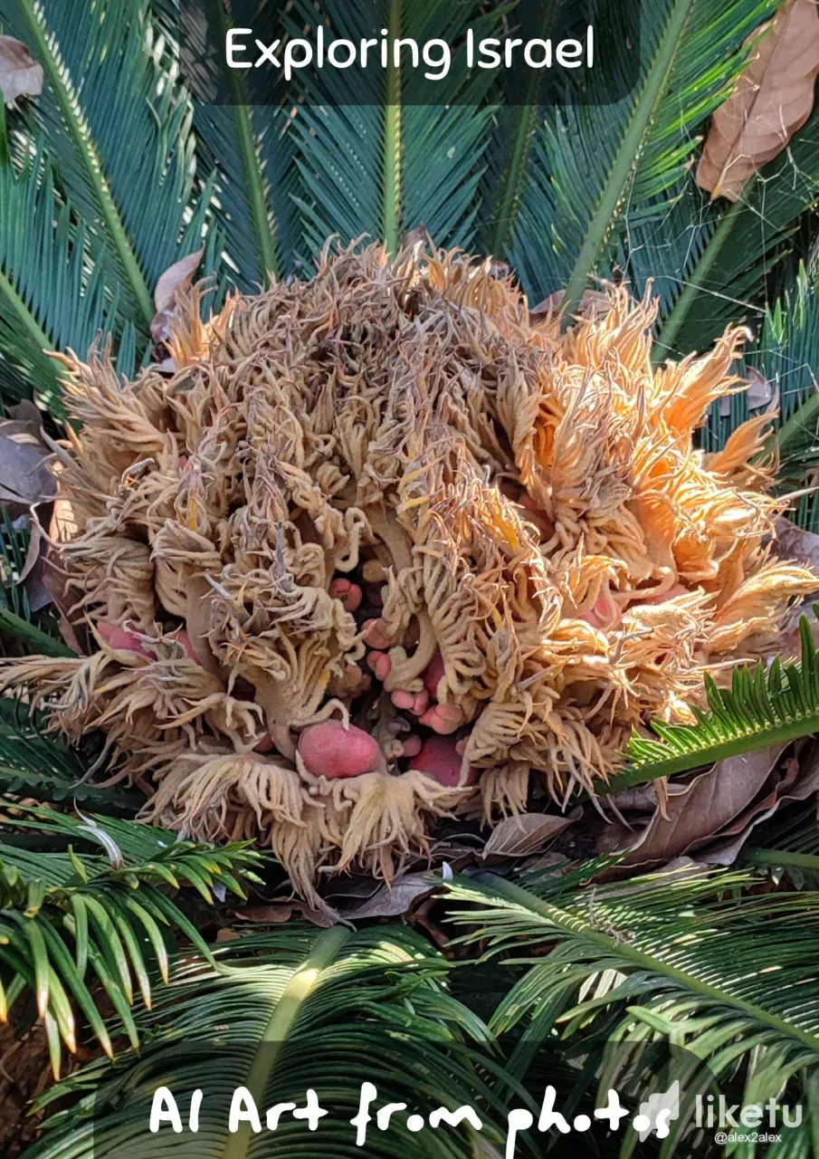 clbl2o97l03us20oqhxqdei4x_png_20221212_105630_0000.webp