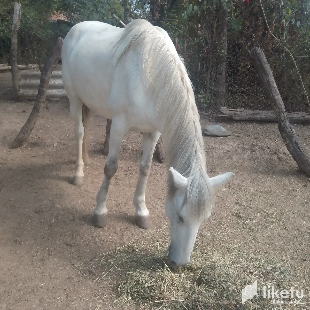 clomx115d00exaeszdsmm522n_IMG_20231102_152117_305.webp