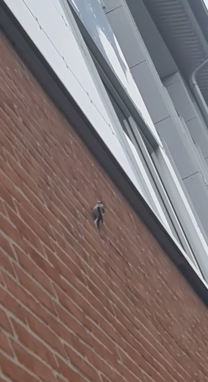 fKInfTiKPurJNOK1_Screenshot_20260329_105543_Gallery.webp
