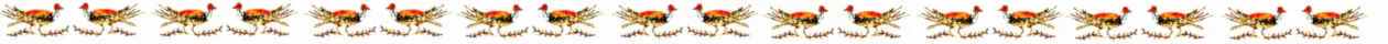 indian bird icon2 group Krewinkel-Terto de Amorim public.jpg