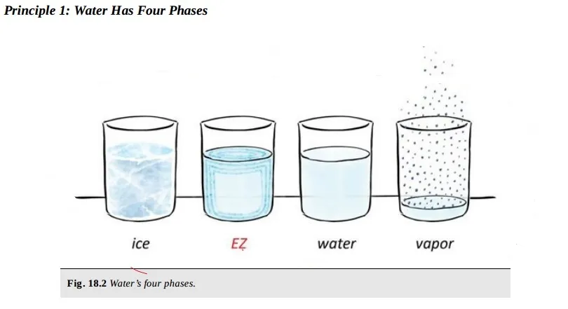 Water-Chemistry-4th-Phase-Gerald-Pollack-and-EZ-Ignored-Discoveries-11.jpg