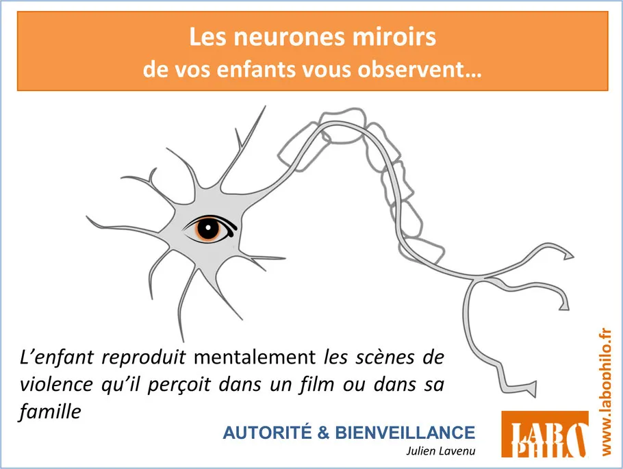 neurone miroir