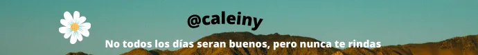 No todos los días seran buenos, pero nunca te rindas.png