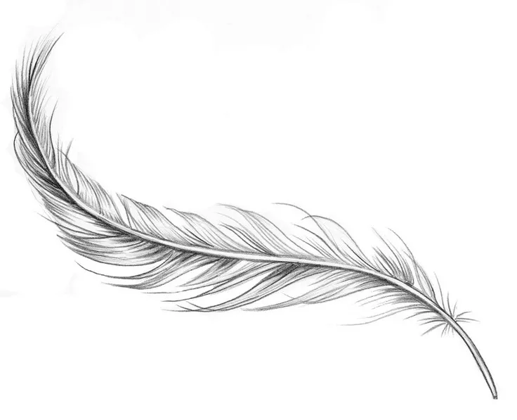 35335b1eeab0999e166b50d91089c56f--feather-tattoo-arm-feather-tattoo-design.jpg